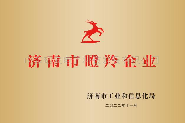 济南市瞪羚企业
