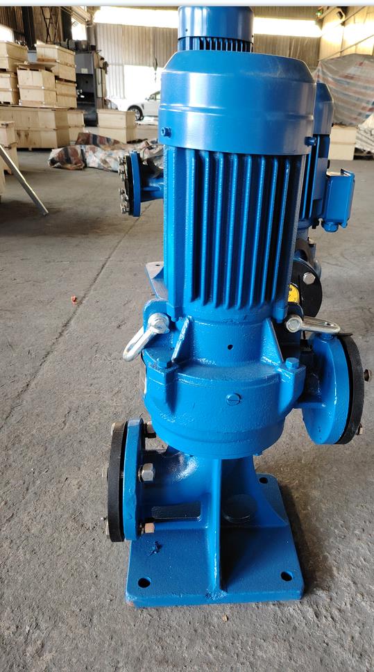 立式排污泵配變頻電機(jī)使用說明