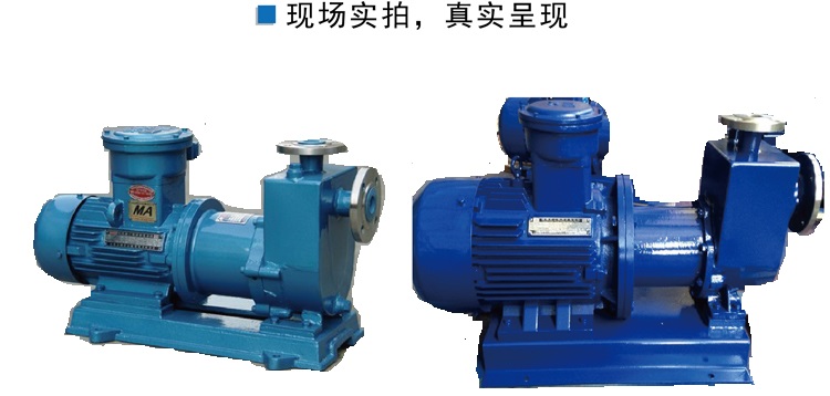 自吸磁力泵