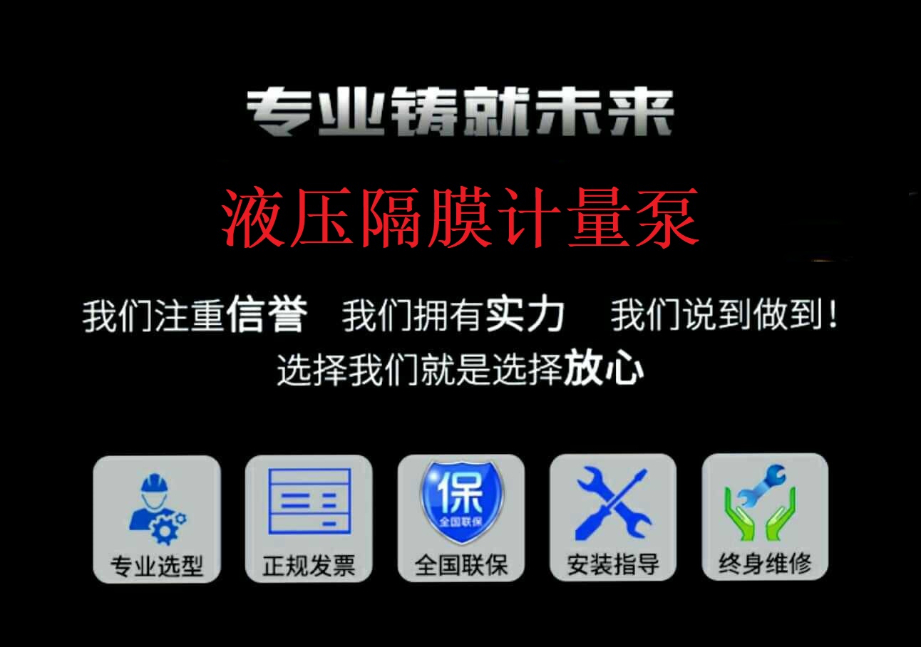 液压隔膜计量泵厂家