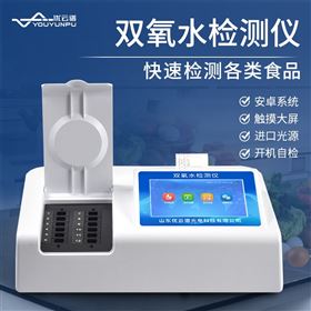 YP-S12双氧水检测仪