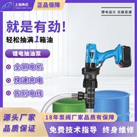 YKLD-500W锂电抽油泵