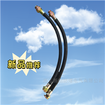 BNG20*1000BNG-20*1000  防爆撓性連接管
