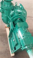 80NJ-485湖北天門天標泵業NJ膏體濃漿渣漿泵及配件