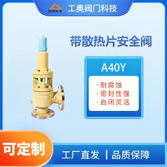 带散热片安全阀