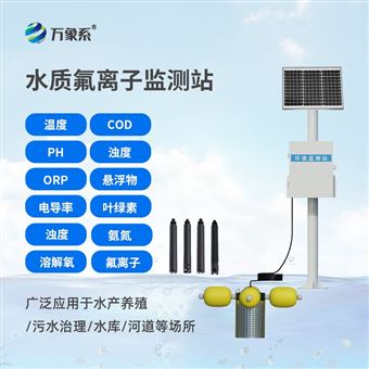 WX-FLZ水质氟离子监测仪