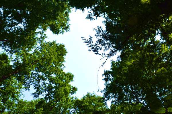 生態(tài)環(huán)境部召開部常務(wù)會(huì)議 審議并原則通過《2026年生態(tài)環(huán)境工作要點(diǎn)》等