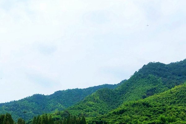 2025年南京市空氣質(zhì)量首次全面達(dá)標(biāo)