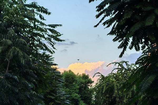 浙江省首家水泥企業(yè)完成超低排放改造和評(píng)估監(jiān)測(cè)公示