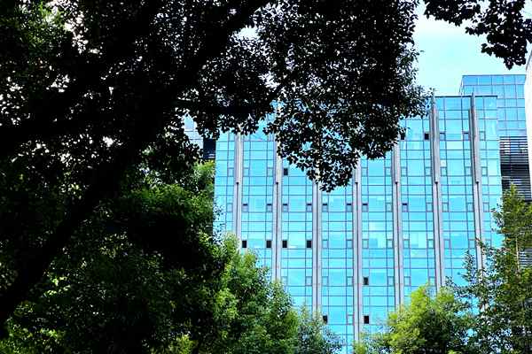 再見(jiàn)，遠(yuǎn)達(dá)環(huán)保、中環(huán)環(huán)保、東方園林！