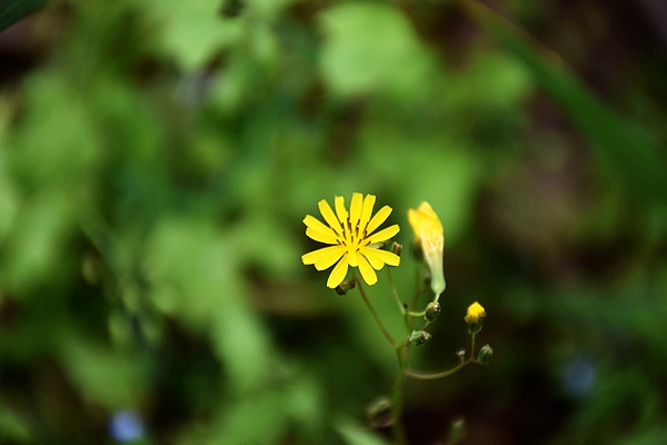生態(tài)環(huán)境部環(huán)境規(guī)劃院與中國鐵工投資建設(shè)集團(tuán)有限公司簽署戰(zhàn)略合作協(xié)議