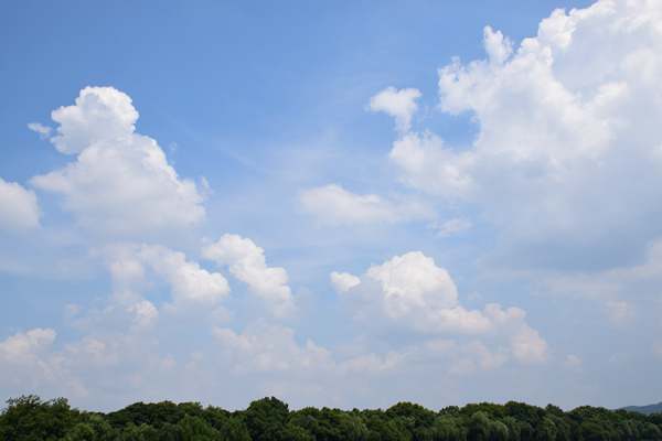 行業(yè)評述展望 |2025年環(huán)境影響評價行業(yè)評述和2026年發(fā)展展望