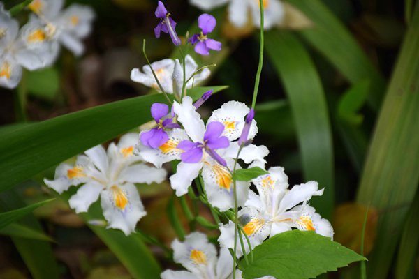 把握“固廢十條”新機遇 建工修復(fù)深耕磷石膏治理