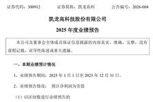 凱龍高科：預計2025年凈利潤虧損8800萬元-1.25億元