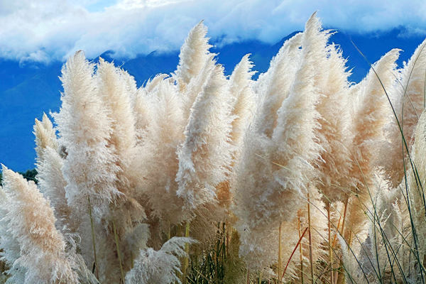 “十四五”大氣污染治理堅(jiān)持精準(zhǔn)治污、體系應(yīng)對(duì)