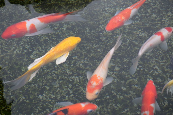 ：铀被岵渴鹜平2026年河湖管理工作