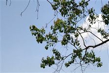 苏州推广全省首个活性炭治气智慧监管平台——“侦炭云”