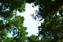 《吉林省省級零碳園區(qū)建設方案》印發(fā)