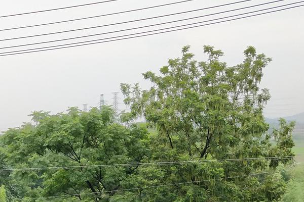 2026年广西生态环境工作要点