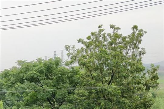 2026年广西生态环境工作要点