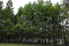 第七次上海合作組織成員國環(huán)境部長會(huì)召開