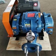 真空罗茨风机 性能稳定优势