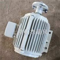 變壓器冷卻風(fēng)扇 電機 YBF100L-12TH 0.55KW 上虞億杰風(fēng)機