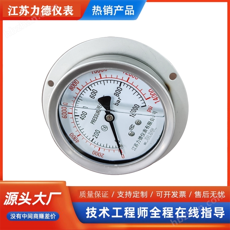 軸向帶邊不銹鋼耐震壓力表