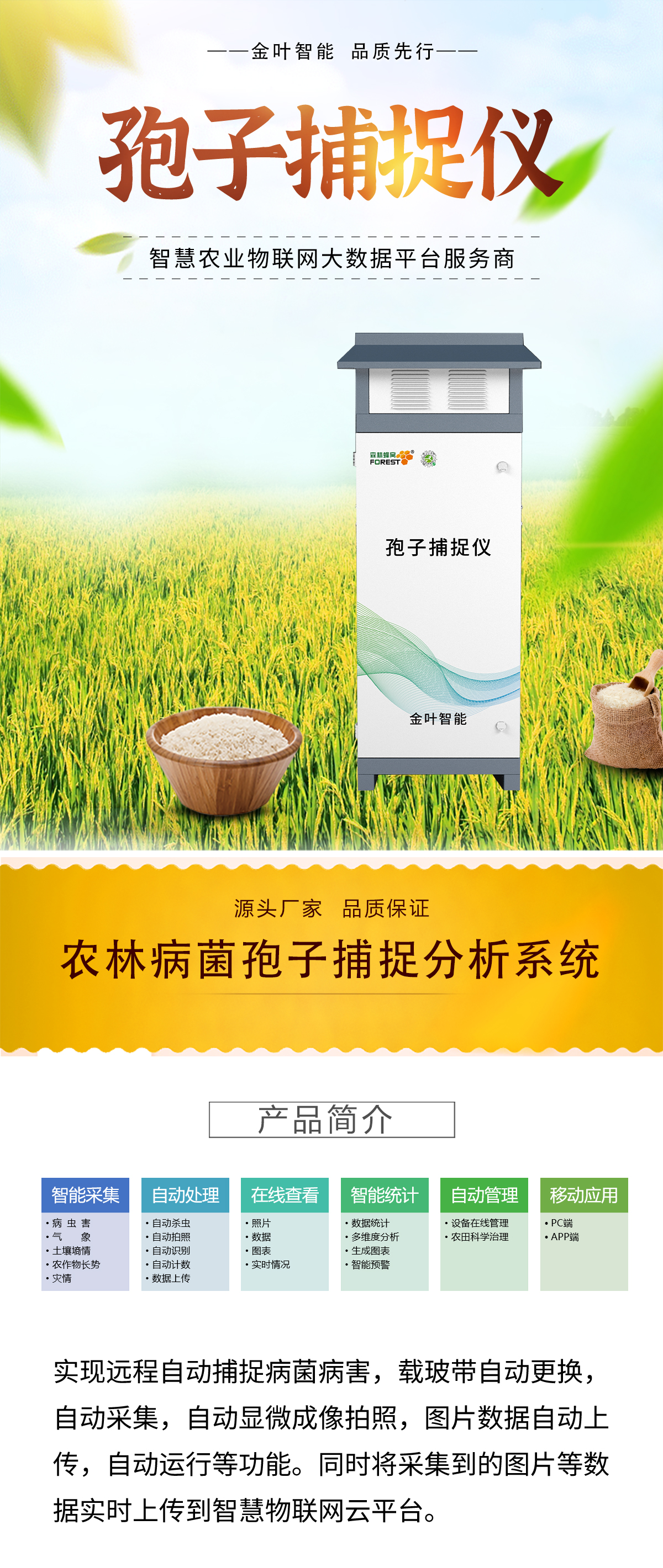 看不見(jiàn)的植物 “健康衛(wèi)士