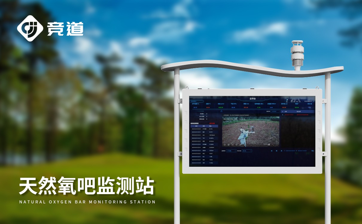 景区负氧离子监测系统 基于边缘计算的景区负氧离子监测系统:数据预处理与实时预警实现