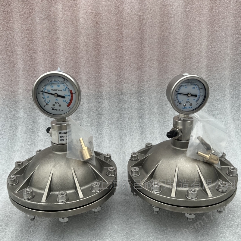 LGMZ-V0.35L膜片式脉冲阻尼器PVDF