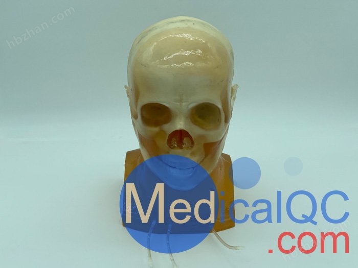 WEK-DSA03头部模体