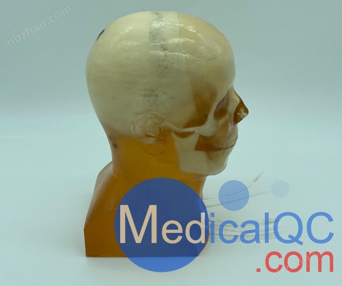 WEK-DSA03头部模体