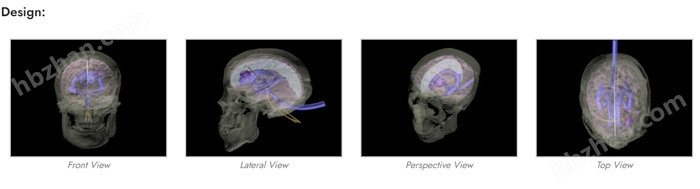 WEK-DSA03头部模体