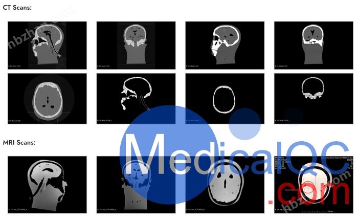 WEK-DSA03头部模体