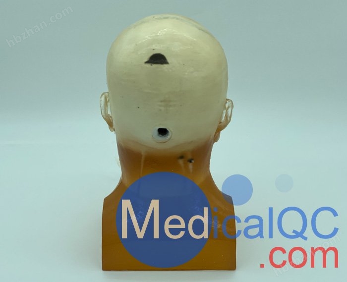 WEK-DSA03头部模体